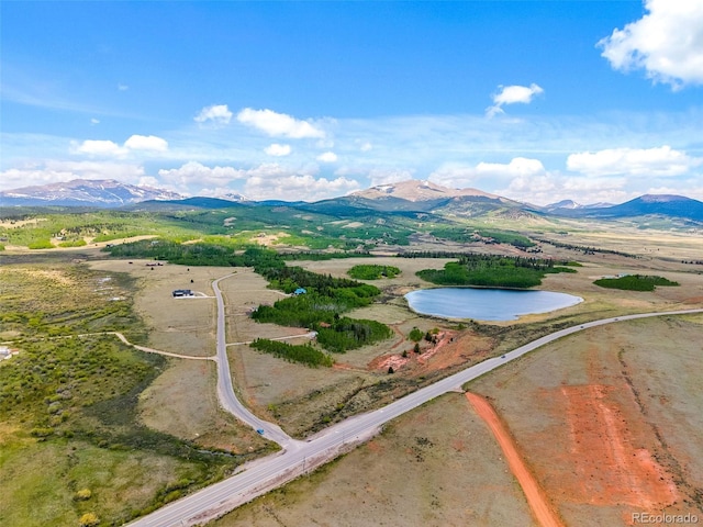816 Little Baldy Cir, Fairplay, CO 80440