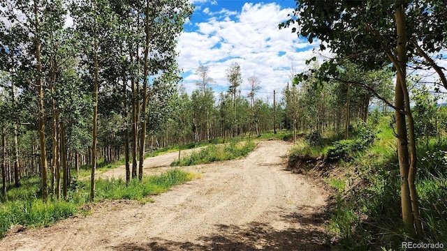 816 Little Baldy Cir, Fairplay, CO 80440