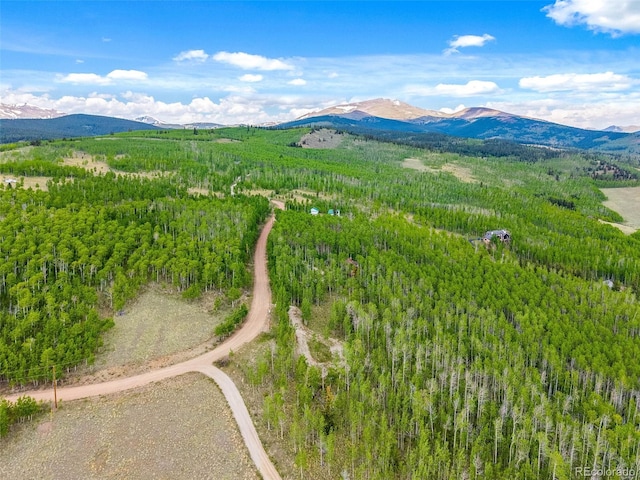 816 Little Baldy Cir, Fairplay, CO 80440