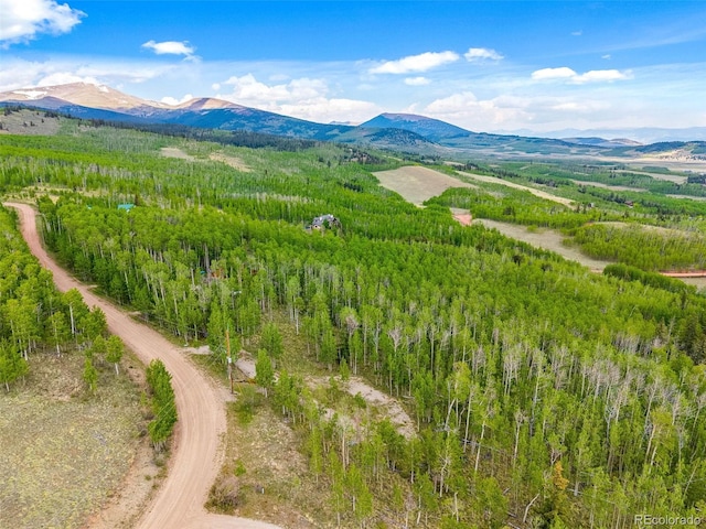 816 Little Baldy Cir, Fairplay, CO 80440