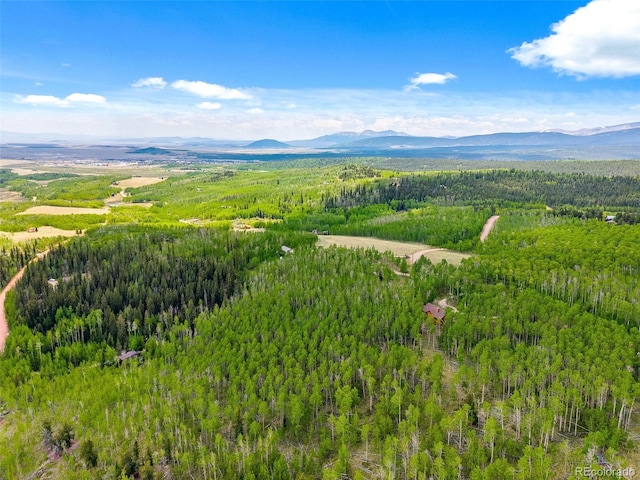 816 Little Baldy Cir, Fairplay, CO 80440
