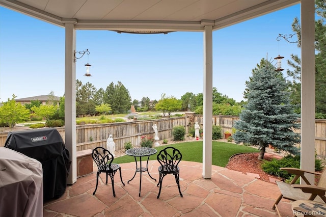 10754 Towerbridge Cir, Highlands Ranch, CO 80130 - photo 29