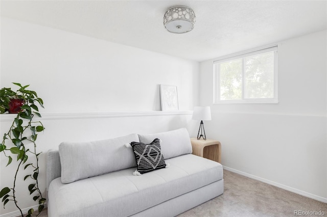11305 W Powers Ave, Littleton, CO 80127 - photo 16