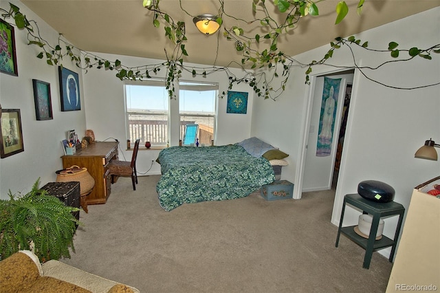 bedroom featuring carpet