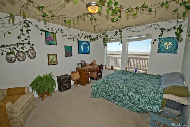 carpeted bedroom featuring access to exterior