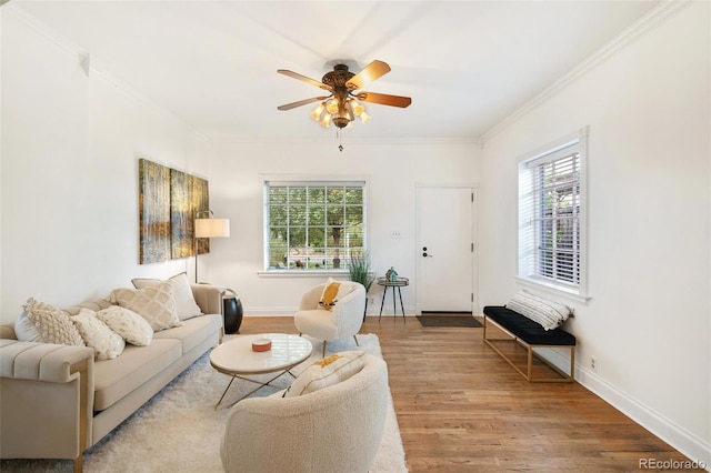 living room with ceiling fan, crown molding, and wood-type flooring