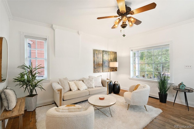 living room with ceiling fan, a wealth of natural light, crown molding, and dark hardwood / wood-style flooring