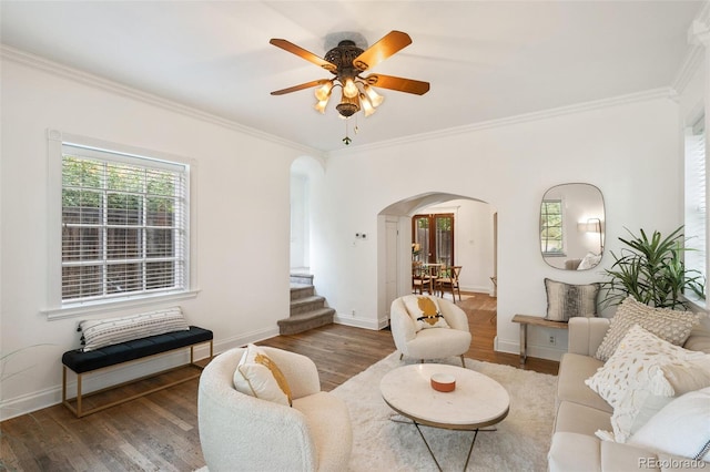 living room featuring ceiling fan, dark wood-type flooring, and ornamental molding