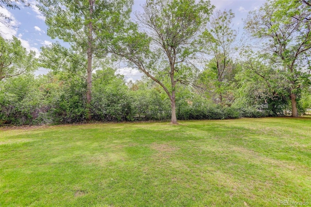 14650 Tejon St, Broomfield, CO 80023 - view of grassy yard