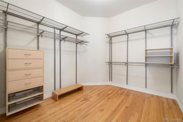 4800 E Cedar Ave, Denver, CO 80246 - walk in closet with light wood-style flooring
