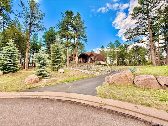 185 Wildrose Ct, Woodland Park, CO 80863 - view of front of house
