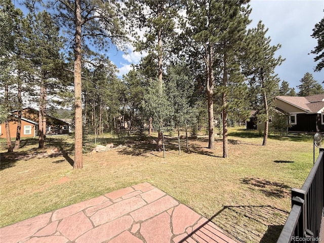 185 Wildrose Ct, Woodland Park, CO 80863 - view of green lawn featuring a patio area and view of wooded area