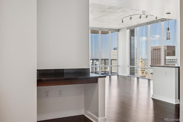 kitchen featuring a healthy amount of sunlight, dark hardwood / wood-style flooring, and a wall of windows