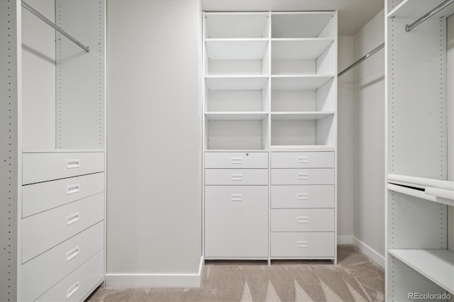 spacious closet featuring light carpet