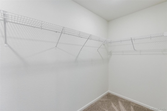 4451 Soapberry Pl, Castle Rock, CO 80108 - spacious closet with carpet flooring