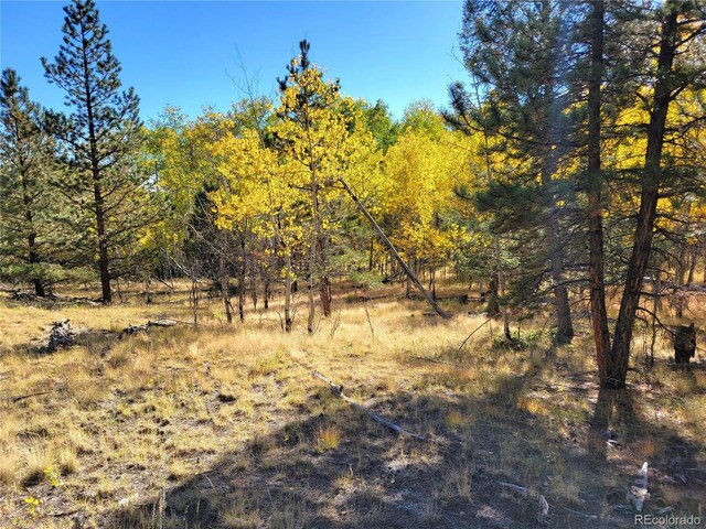 2 County Road 12, Florissant, CO 80816 - photo 1