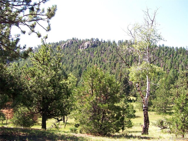 2 County Road 12, Florissant, CO 80816 - photo 3