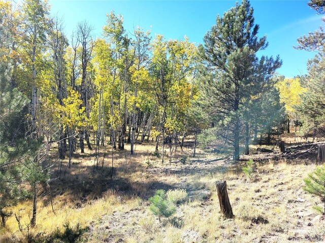 2 County Road 12, Florissant, CO 80816 - photo 4