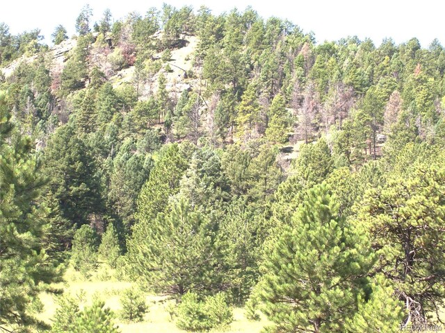 2 County Road 12, Florissant, CO 80816 - photo 5