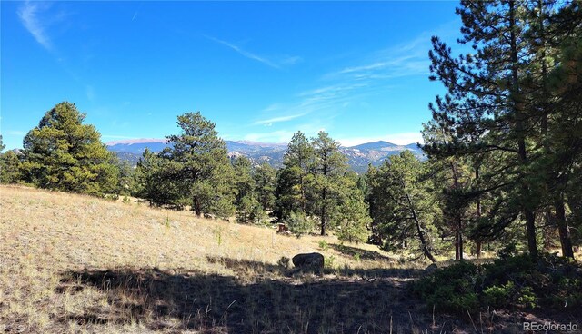 2 County Road 12, Florissant, CO 80816 - photo 6