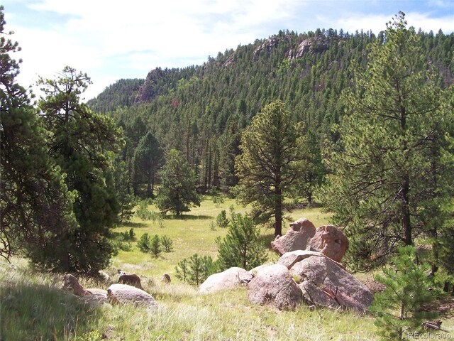 2 County Road 12, Florissant, CO 80816 - photo 7