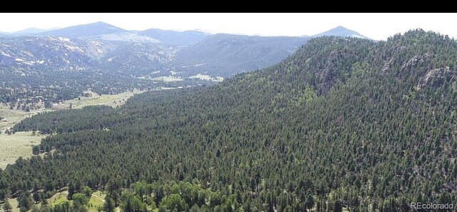 2 County Road 12, Florissant, CO 80816 - photo 8
