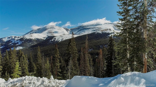 434 Carroll Ln, Breckenridge, CO 80424