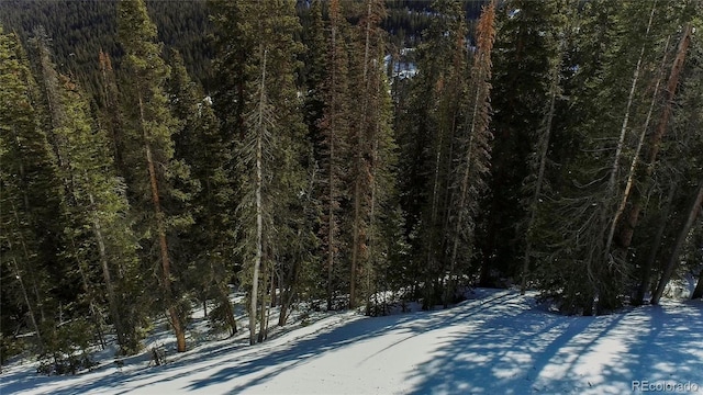 434 Carroll Ln, Breckenridge, CO 80424