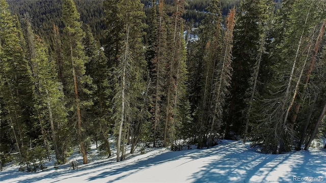 434 Carroll Ln, Breckenridge, CO 80424