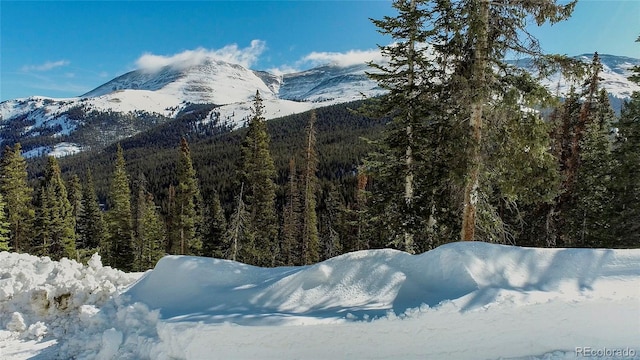 434 Carroll Ln, Breckenridge, CO 80424