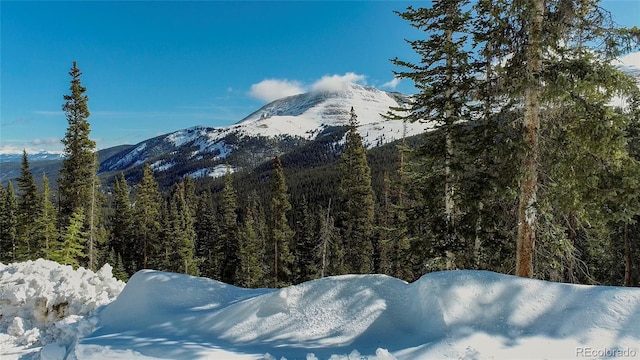 434 Carroll Ln, Breckenridge, CO 80424