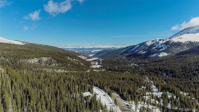 434 Carroll Ln, Breckenridge, CO 80424