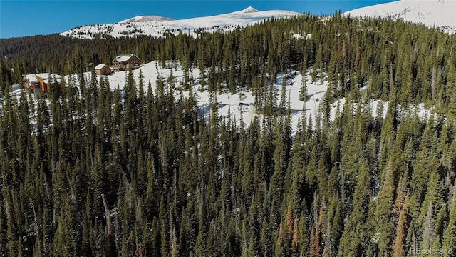 434 Carroll Ln, Breckenridge, CO 80424