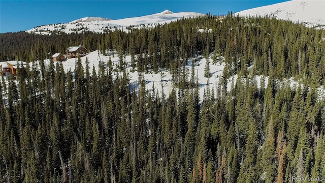 434 Carroll Ln, Breckenridge, CO 80424
