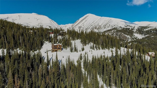 434 Carroll Ln, Breckenridge, CO 80424