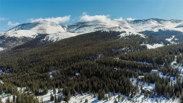 434 Carroll Ln, Breckenridge, CO 80424