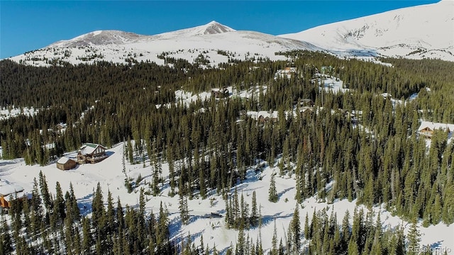 434 Carroll Ln, Breckenridge, CO 80424