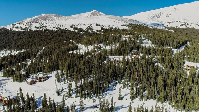 434 Carroll Ln, Breckenridge, CO 80424
