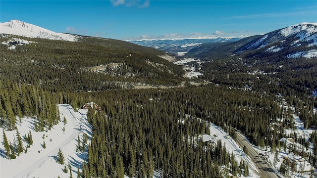434 Carroll Ln, Breckenridge, CO 80424
