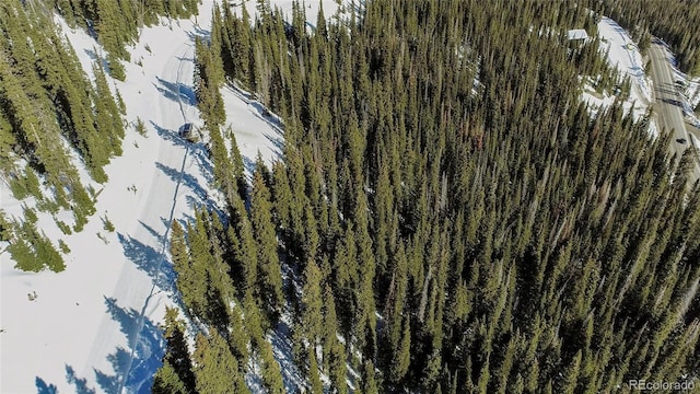 434 Carroll Ln, Breckenridge, CO 80424