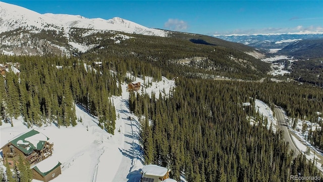 434 Carroll Ln, Breckenridge, CO 80424