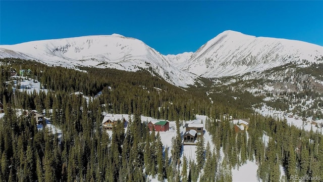 434 Carroll Ln, Breckenridge, CO 80424