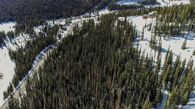 434 Carroll Ln, Breckenridge, CO 80424