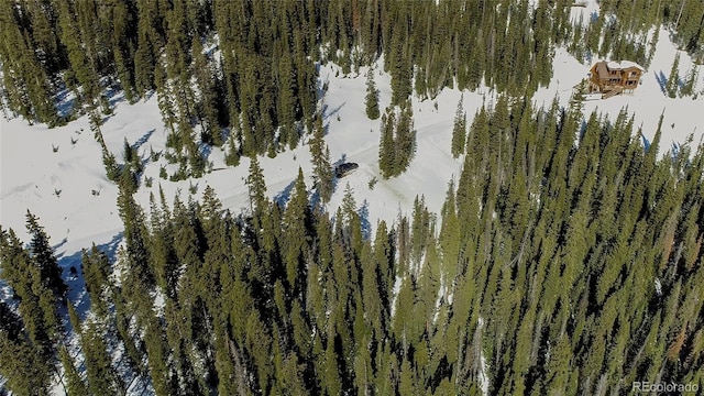 434 Carroll Ln, Breckenridge, CO 80424