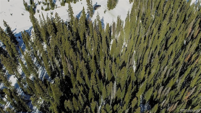 434 Carroll Ln, Breckenridge, CO 80424