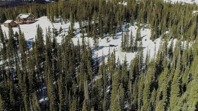 434 Carroll Ln, Breckenridge, CO 80424