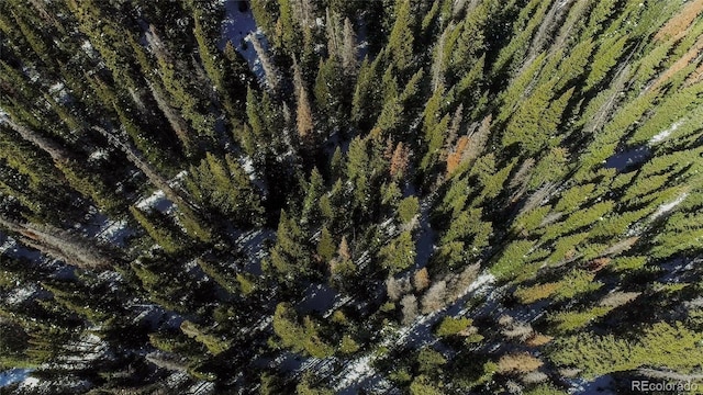 434 Carroll Ln, Breckenridge, CO 80424