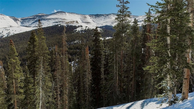 434 Carroll Ln, Breckenridge, CO 80424