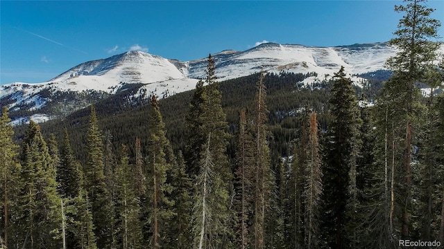 434 Carroll Ln, Breckenridge, CO 80424