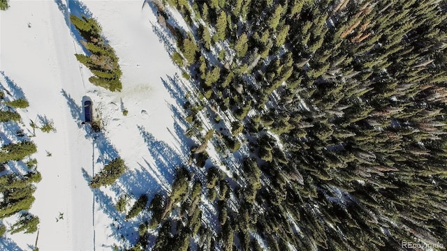 434 Carroll Ln, Breckenridge, CO 80424